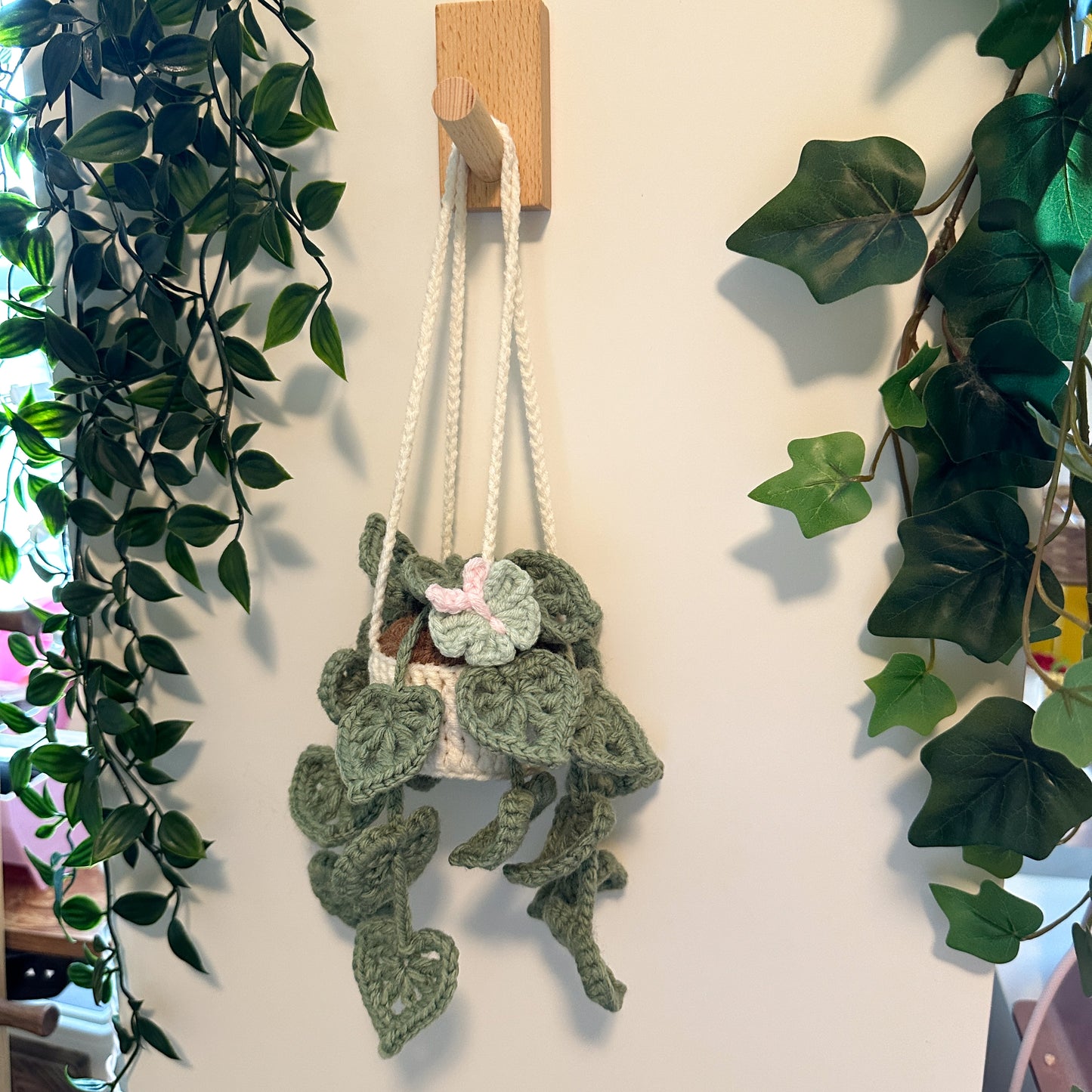 Swiss Cheese Plant Pot