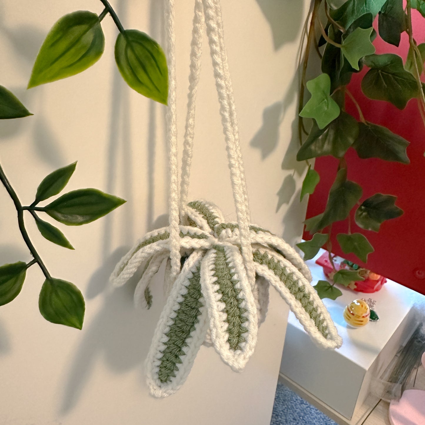 Spider Plant Pot