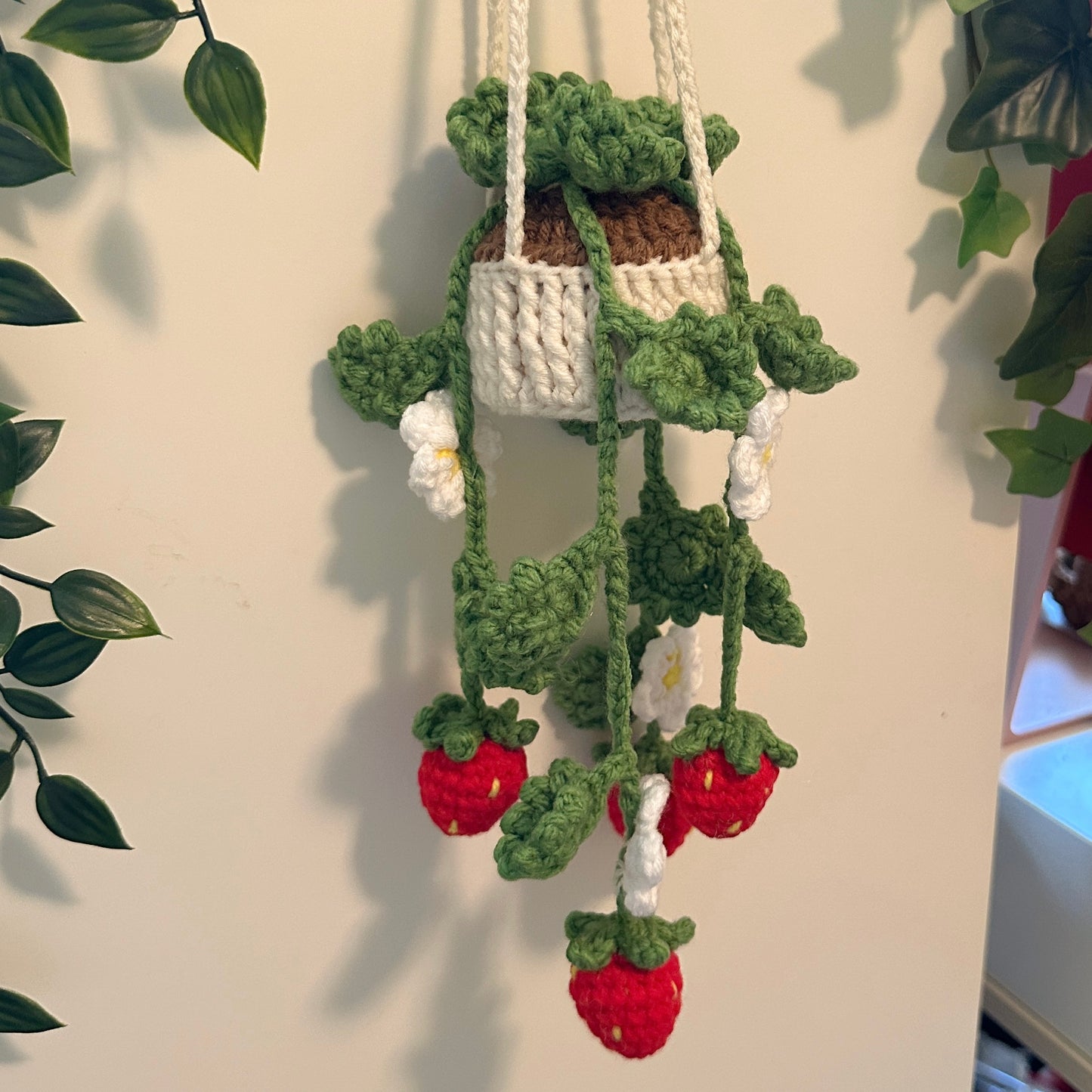 Strawberry Plant Pot