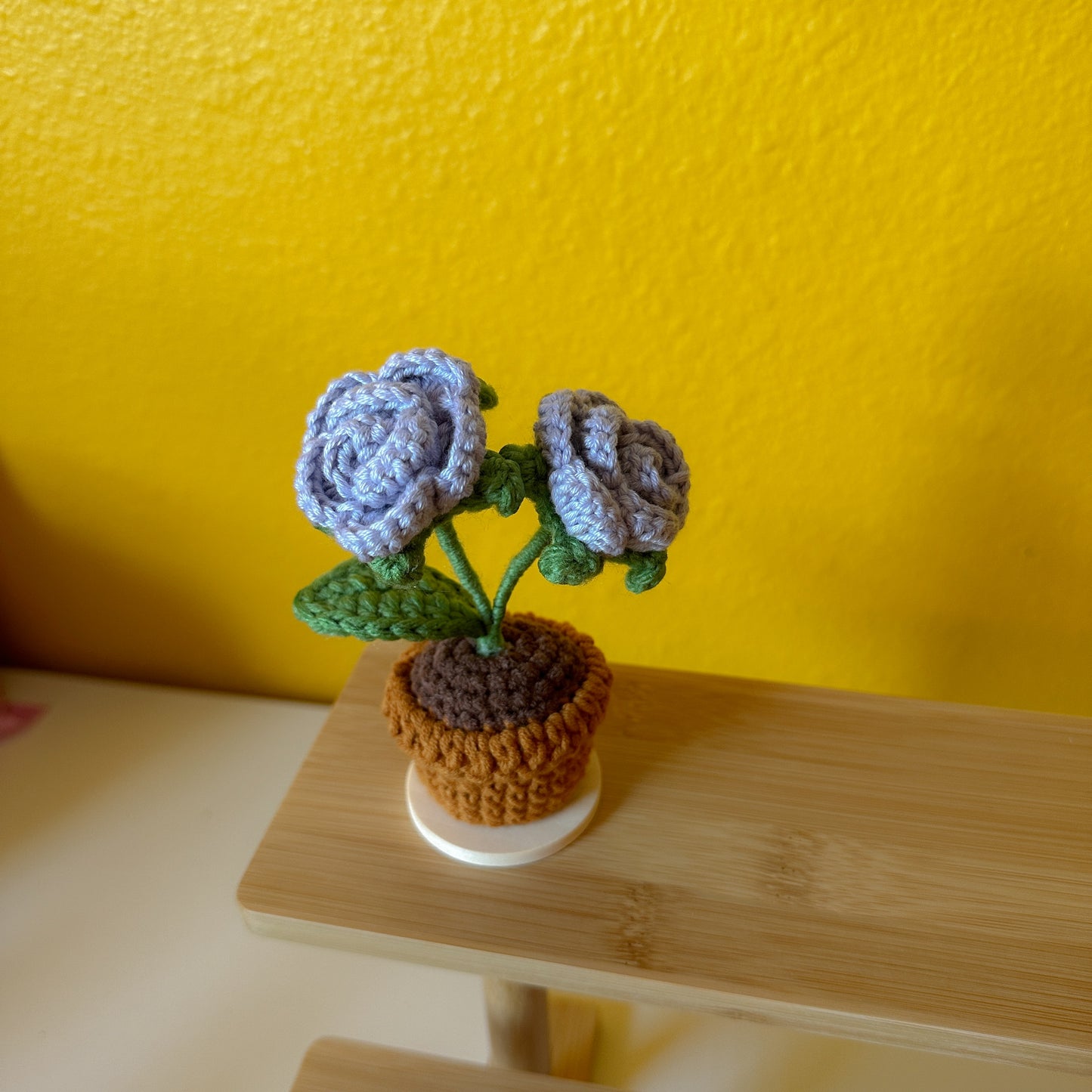 Flower Pot