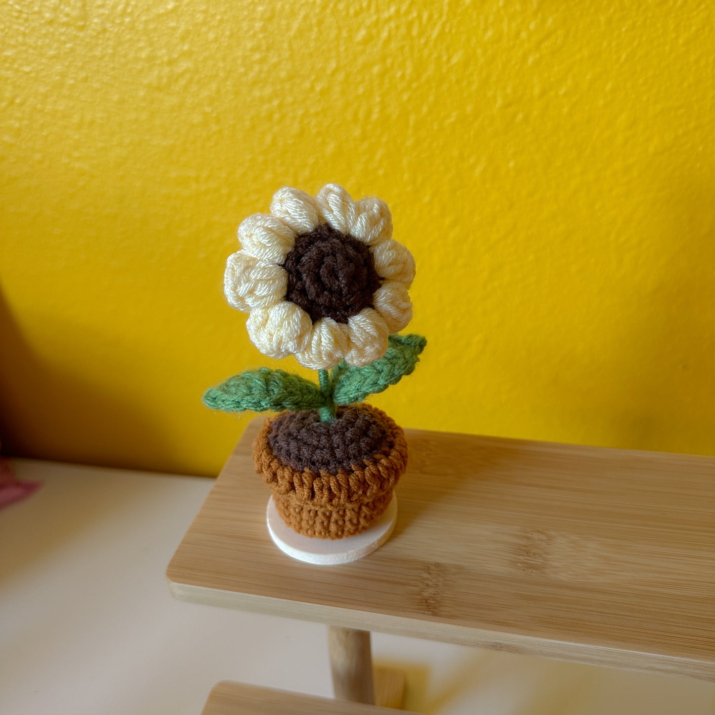 Flower Pot