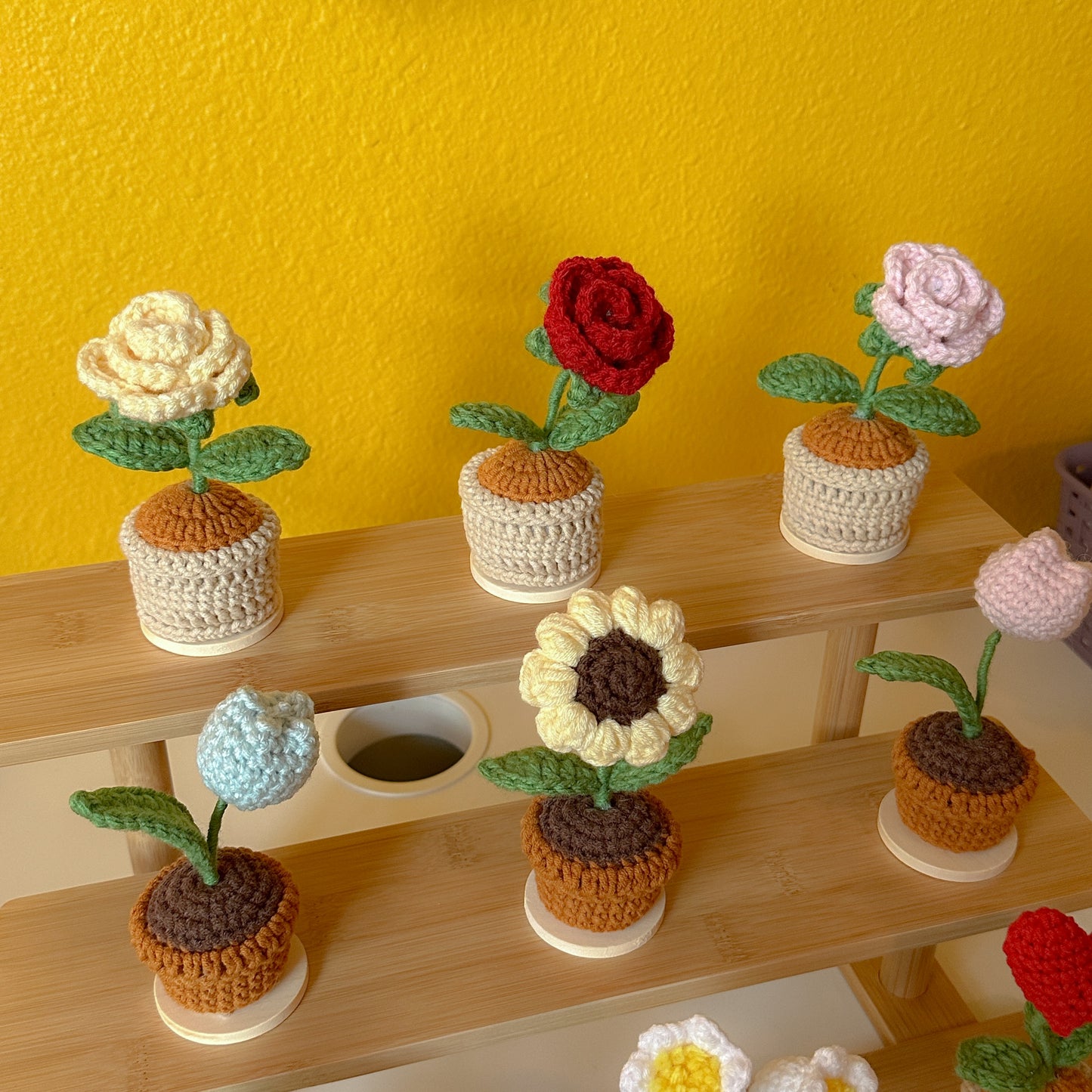 Flower Pot
