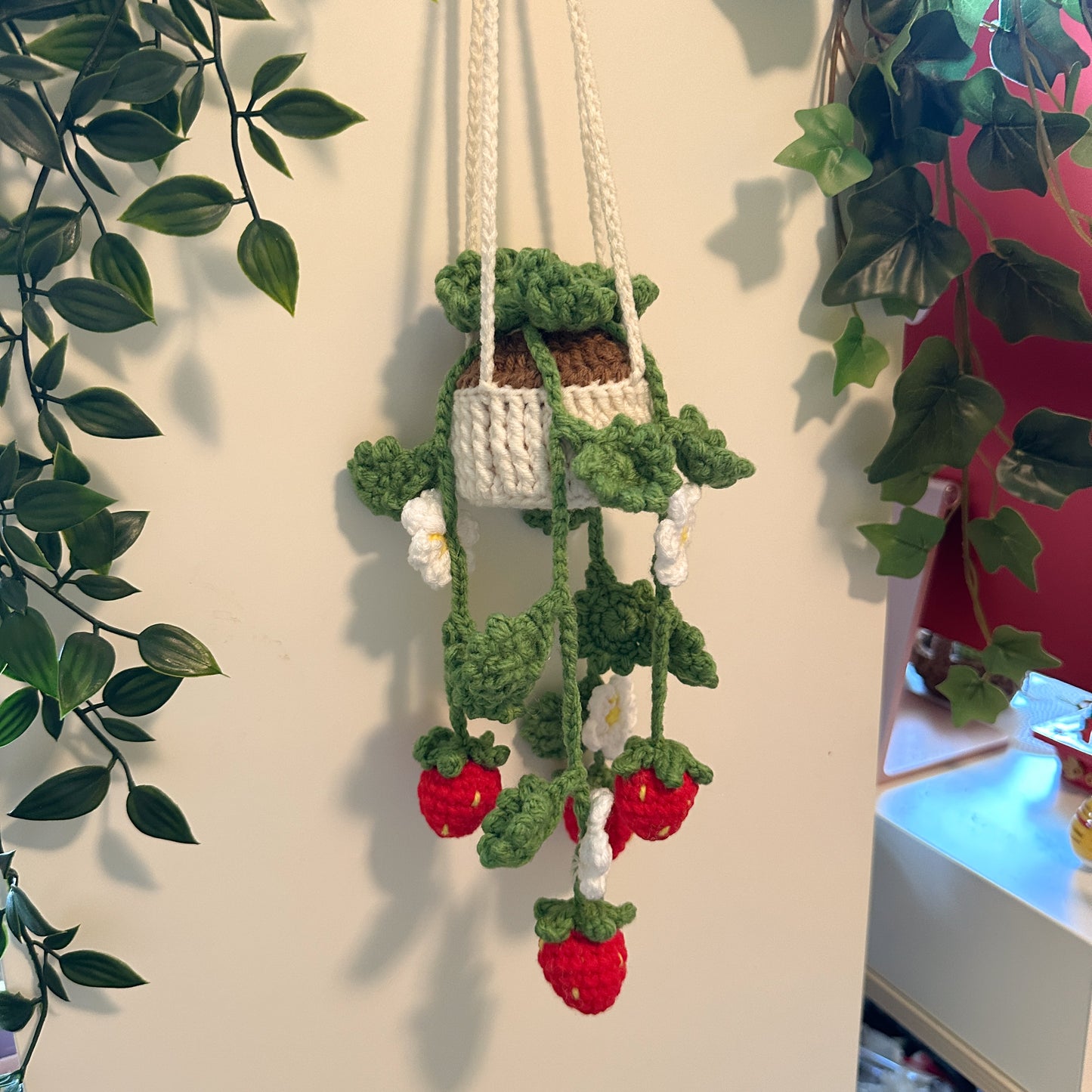 Strawberry Plant Pot