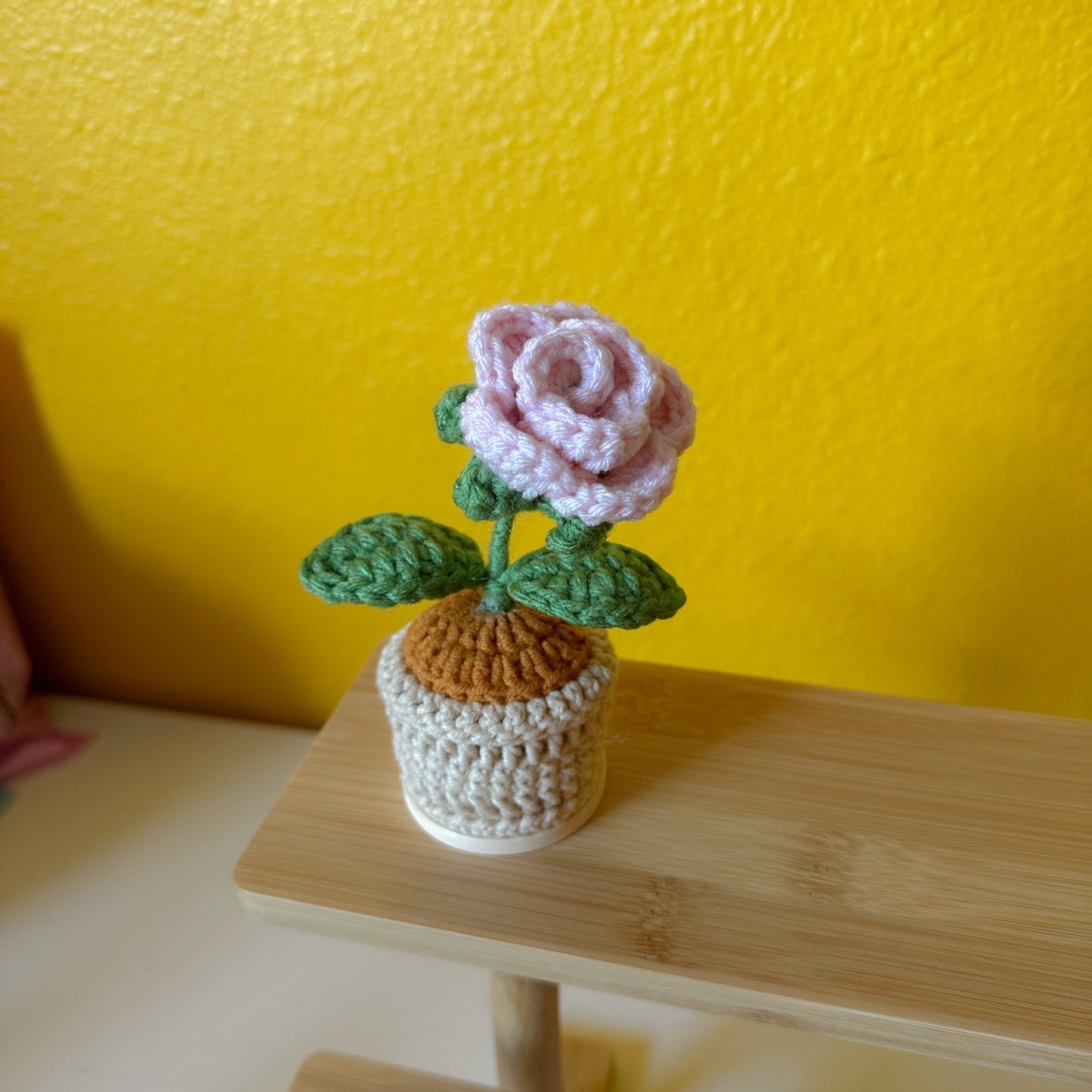 Flower Pot